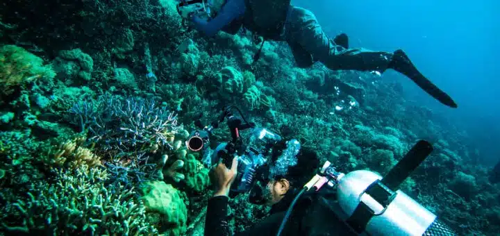Unterwasseraufnahmen beim Tauchen