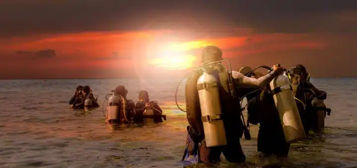 Nachttauchen mit dem richtigen Licht.